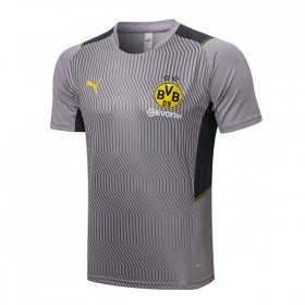 BVB Borussia Dortmund Trening Dres Komplet 2022-23 Svijetlo Siva